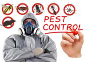 Exterma Pest Control image 2